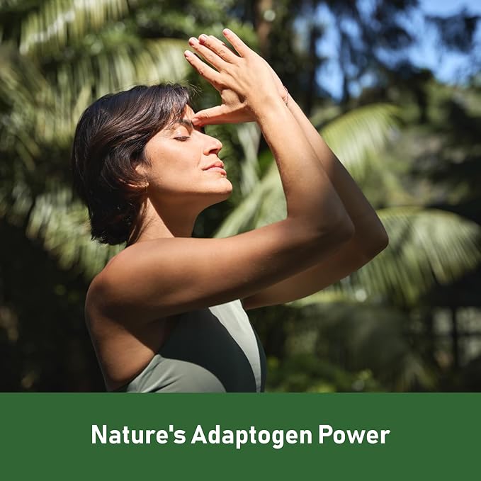 GlowEver KSM-66 Ashwagandha Supplements with L-Theanine Moringa Organic Mushrooms Complex Ginseng Ginkgo Biloba - Mood & Energy Support, Cortisol Manager, Immune Support, 60 Vegan Capsules
