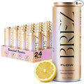 BRĒZ FLOW Lion’s Mane Mushroom Drink 24 Pack, Lemon Elderflower, Supports Mood & Focus, Non-Alcoholic Sparkling Adaptogen Drink, Functional Mushrooms, Feel Clear, Calm & Refreshed- 12 Fl oz Cans