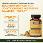 Turmeric 3 in 1 Complex with Curcumin, Ginger &Black Pepper Extract | 2250mg per Serving | 60 Capsules