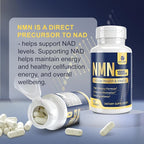 NMN Supplement 500 mg (Nicotinamide Mononucleotide) - 6-in-1 NAD Supplement with Quercetin | TMG | Resveratrol | Spermidine| Black Pepper Extract for Cellular Support 60 Capsules