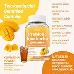 Probiotic Kombucha Gummies Sugar Free Prebiotic Postbiotic Probiotics Gummies with Slippery Elm for Women and Men Bloating Gut Health Immune and Digestive Support - 60 Gummies - 30 Servings