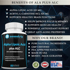 Alpha Lipoic Acid Plus Acetyl L-Carnitine Antioxidant Supplement ALA ALC for Healthy Brain Function & Muscle Strength, Focus, Memory & Cognitive Function for Women & Men - 60 Capsules by Neonutrix