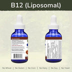 Vinco Inc – Liposomal Vitamin B12 Energy Support Daily Supplement | 60 ml (60 Servings) | Supports Energy Metabolism & Nervous System Health | Gluten Free & Vegetarian