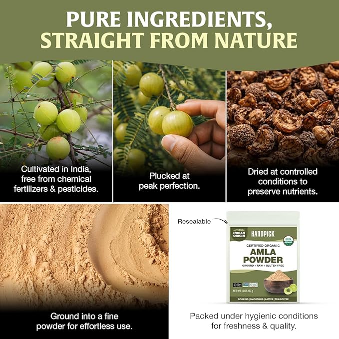 HANDPICK Organic Amla Powder (14oz) Amalaki, USDA Organic, Non-GMO | 100% Raw and Natural - Lab Tested for Purity | Indian Gooseberry Powder | Resealable Zip Lock Pouch