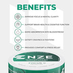 NZE Caffeine Free Nootropic Pouches (Wintergreen) - Nootropic Pouches with Alpha GPC, L-Tyrosine & L-Theanine - No Sugar or Artificial Sweeteners - 15 Pouches Per Can - 5 Pack