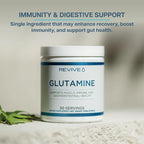 Revive MD Gut L-Glutamine Powder – Muscle Recovery & Immune Support Supplement for Adults – Promotes Digestive Health, Reduces Muscle Soreness & Supports Immunity – Vegan (30 Servings)