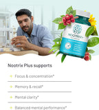 Nootrix Brain Plus Nootropic Supplement | Supports Memory, Mental Focus, Cognitive Health & Energy | Promotes Healthy Mood & Brain Function | Vitamin B1, Vitamin B6 & Vitamin B12 | 30 Capsules