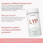 Lycopene Supplement Capsules 500mg – Tomato Fruit Powder with Natural Lycopene for Antioxidant & Daily Wellness Support | Gluten Free, Non-GMO (120 Count (Pack of 1))