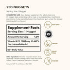 Solgar Vitamin B12 1000 mcg,250 Nuggets-Supports Production of Energy,Red Blood Cells-Healthy Nervous System-Promotes Cardiovascular Health-Vitamin B-Non-GMO,Gluten Free-250 Servings,(Pack of 2)
