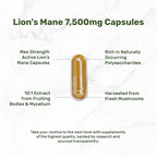 Lions Mane Mushroom Supplement, 240* Capsules – Active Fruiting Body & Mycelium Extract – Natural Brain Nootropic & Immune System Booster – Non-GMO