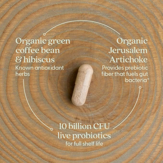 New Chapter Daily Dual Biotic Probiotic + Prebiotic for Digestion & Microbiome Health, 100% Vegan, Soy Free, Non-GMO, 60 Count (2 Month Supply)