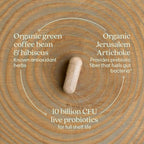 New Chapter Daily Dual Biotic Probiotic + Prebiotic for Digestion & Microbiome Health, 100% Vegan, Soy Free, Non-GMO, 60 Count (2 Month Supply)