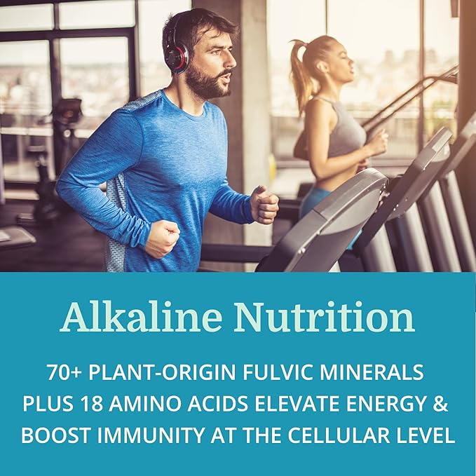 Morter Trace Minerals in Colloidal Suspension (12 Pack) Morter HealthSystem Best Process Alkaline — Nutrient Dense Trace Elements, Fulvic Minerals & Amino Acids