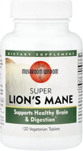 Mushroom Wisdom Super Extract, Lion's Mane, 120 Count