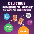Kids Immune Support Gummies - Vitamin C, Zinc & Echinacea Children's Daily Immune Health Support Gummy Supplement for Ages 4 and Up, Natures Kid's Vitamin C Gluten-Free & Non-GMO, Vegan - 120 Gummies