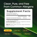 NatureBell Quercetin 500mg - 240 Capsules - Ultra Strength Supplement for Healthy Immune Support* - Quercetin Dihydrate from Sophora Japonica - Bioavailable Form