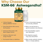 VAHDAM KSM -66 Ashwagandha 625 mg with Ginger & Piperine, Support Stress Relief (120 Capsules)