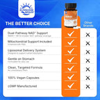 Sunshine & Rain NMNH Supplement 920mg - Liposomal NMNH with NR & PQQ for Cellular Energy, Focus & Healthy Aging | NMN Alternative Nicotinamide Mononucleotide | Vegan Non-GMO | 60 Capsules