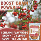 XPRS Nutra Hawthorn Berry Capsules - 180 Count (90 Day Supply) of Premium Hawthorne Berry Capsules for Cardiovascular Support - Vegan Friendly Hearth Health Supplement