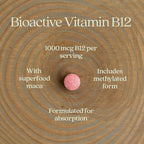 New Chapter Fermented Vitamin B12 1,000 mcg,USDA Organic,Daily for Cellular Energy + Healthy Blood Cells,Certified Vegan,Gluten Free -,60 Count (Pack of 2)
