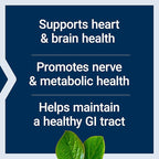 Life Extension BioActive Folate & Vitamin B12, Promotes Heart, Brain & GI Tract Health, Non-GMO, Gluten-Free, Vegetarian, 90 Capsules