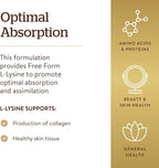 Solgar L-Lysine 1000 mg, 250 Tablets - Enhanced Absorption and Assimilation - Promotes Integrity of Skin and Lips - Collagen Support - Amino Acids - Non-GMO, Vegan, Gluten Free-250 Servings(Pack of 2)