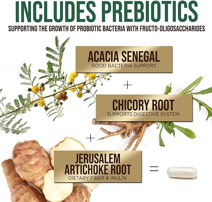 Probiotics 50 Billion CFU per Serving - 10 Strains + Prebiotics - Digestive Health, Gut & Immune Support - Occasional Constipation, Gas & Bloating Support for Women & Men, Bottled USA - 120 Capsules