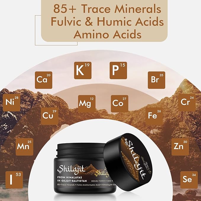 Shilajit Pure Himalayan Organic Shilajit Resin - Gold Grade 100% Purity Shilajit with Fulvic Acid & 85+ Trace Minerals Complex for Energy & Immune Support, Pack of 2 (4 Months Supply)