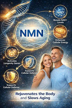 The NMN(1000)