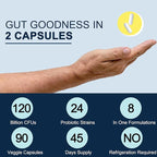 Probiotics for Men Digestive Health, 120 Billion CFUs Mens Probiotic with Digestive Enzymes & Prebiotics & Saw Palmetto & Cranberry for Gut, Prostate & Urinary Tract Health, Shelf Stable, 90 Capsules