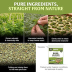 HANDPICK Dried Basil Leaves 40 Servings (100g/ 3.5oz) Non GMO, Gluten Free, 100% Raw Whole Tulsi Leaf, Sourced from India, Premium Quality, Packed in Resealable Ziplock Pouch
