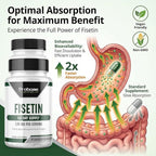Probase Nutrition Fisetin Senolytic Supplement 100mg High Potency 60-Day Supply for Cellular Health