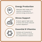 Utzy Naturals Vitamin B Complex | Contains All 8 Essential B Vitamins | with Choline and Inositol | 60 Capsules
