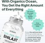 Organics Ocean One-Per-Day Shilajit for Men and Women - Natural Shilajit Supplement for Age-Defying, Bone Strength, Hormone Support and More - 30 Shilajit Capsules