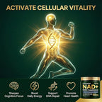 Liposomal NAD+ NMN Supplement with COQ10, Nicotinamide Riboside, Trans-Resveratrol, 900mg, 90 Veggie Capsules