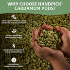 HANDPICK Green Cardamom Pods (57g / 2oz) Large size Green Elaichi | Pure, Non-GMO, Gluten Free | 100% Raw from India | Resealable Zip Lock Pouch