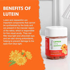 Nature's Key Lutein Gummies 12mg with Zeaxanthin & Vitamin A for Kids and Adults | Eye Health and Brain Function Supplement | Orange Flavor, 60Ct