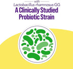 Culturelle Probiotics Ultimate Balance Probiotic for Use with Antibiotics - 20 Count – Probiotic Capsules Help Restore Good Bacteria Lost During Antibiotic Use & Contribute to A Healthy Immune System