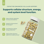 C15:0 Pentadecanoic Acid Supplement | Longevity, Cellular & Membrane Support, Micro-Granule Enhanced Absorption, Phosphatidylcholine, L-Carnitine, Ubiquinol CoQ10 & Tocotrienols – 120ct