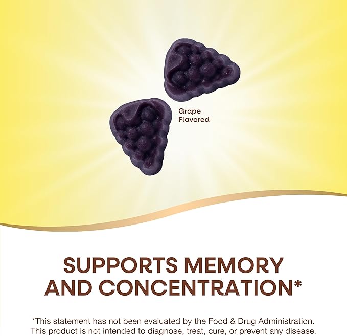 Nature's Way Brain Fuel, Supports Memory and Concentration*, Brain Function Support Supplement*, Clinically Studied Cognigrape®, Grape Flavored, 60 Gummies,(Pack of 2)