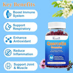 Quercetin with Bromelain Gummies, Quercetin with Vitamin C Zinc & Elderberry for Immune System & Allergy, Chewable & Vegan Gummies, 60 Cts