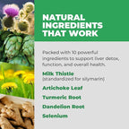 Balance ONE Liver Support Supplement with Milk Thistle, Dandelion Root Extract & Molybdenum – Liver Health & Detox Support – Vegan Capsules, 1 Month Supply – Liver One