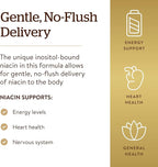 Solgar No-Flush Niacin 500 mg, 250 Vegetable Capsules - Supports Energy Metabolism - No-Flush Delivery - Vegan, Gluten Free, Dairy Free, Kosher - 250 Servings