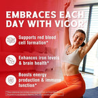 Iron Supplement for Women & Men, with Vitamins C, B6, B12 & Folate for Iron Deficiency, Blood Building & Energy Support, Stomach Friendly, Better Absorption, Non-GMO, No Gluten, 90 Vegan Caps