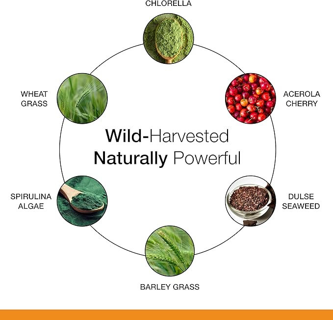 Dr. Schulze's SuperFood 100 - Everyday Superfood Supplement to Support Overall Wellness - Mutivitamin Support for Cellular Nutrition & Energy - Clean Ingredients - Gluten-Free & Dairy-Free - 90 Count