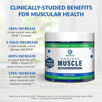 BioTrust Ageless Muscle Builder - Creatine HMB Powder with Vitamin D3 & Betaine - Build & Preserve Naturally Declining Muscle Mass & Strength - Unflavored, 30 Servings