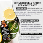 Methylfolate 15mg with Methyl B12 Liquid Drops | Active 5-MTHF Folate & B Complex Vitamins (B2 Riboflavin & B6) | Lemon Flavor Sublingual丨MTHFR Support Supplement for Methylation Mood & Energy–2 fl oz