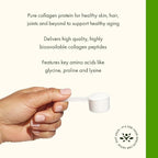 Swanson High Plains Collagen Hydrolysate Peptides Powder for Adults Over 30 Seeking Hair, Skin, Nail, and Joint Support - Unflavored (1 lb)