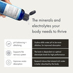 Synchro - Hydros Trace Mineral Drops with Electrolytes, Mineral-Rich Water Drop for Electrolyte Water, Hydrating Electrolyte Drops for Nervous System Support, Mineral Drops for Drinking Water, 8 fl oz