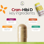 Legacy Wellness Cran-Hibi-D: D Mannose with Cranberry, Hibiscus & Dandelion Capsules - Urinary Tract Health - Natural Cleanse, Bladder Support, Detox Flush, Herbal UT Supplement Pills for Men & Women